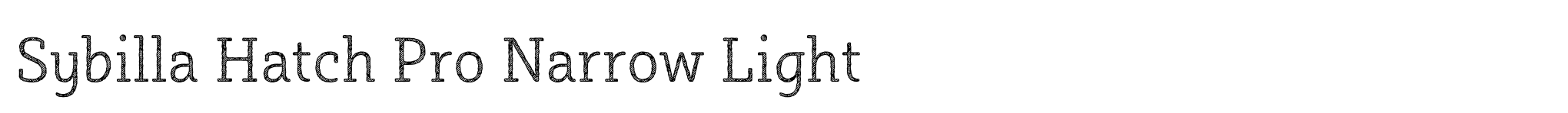 Sybilla Hatch Pro Narrow Light image